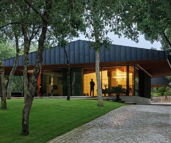 CC House – Quinta dos Carvalhos / Inception Architects Studio - Exterior Photography, Wood, Garden