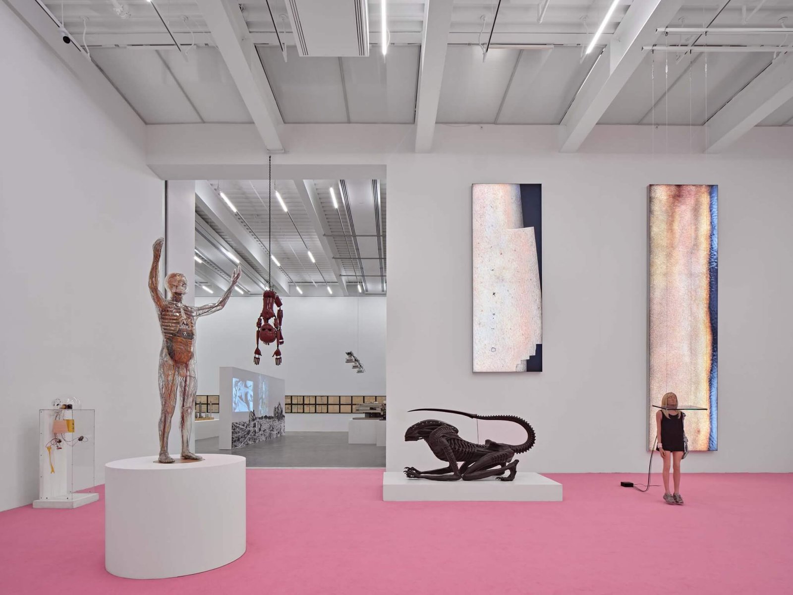 gallery and exhibition space in the new museum