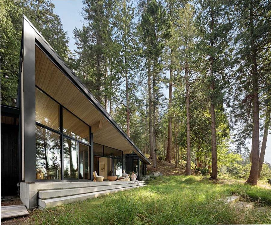 A modern cedar cabin in Halfmoon Bay designed to preserve every existing tree, blending architecture with untouched forest surroundings.