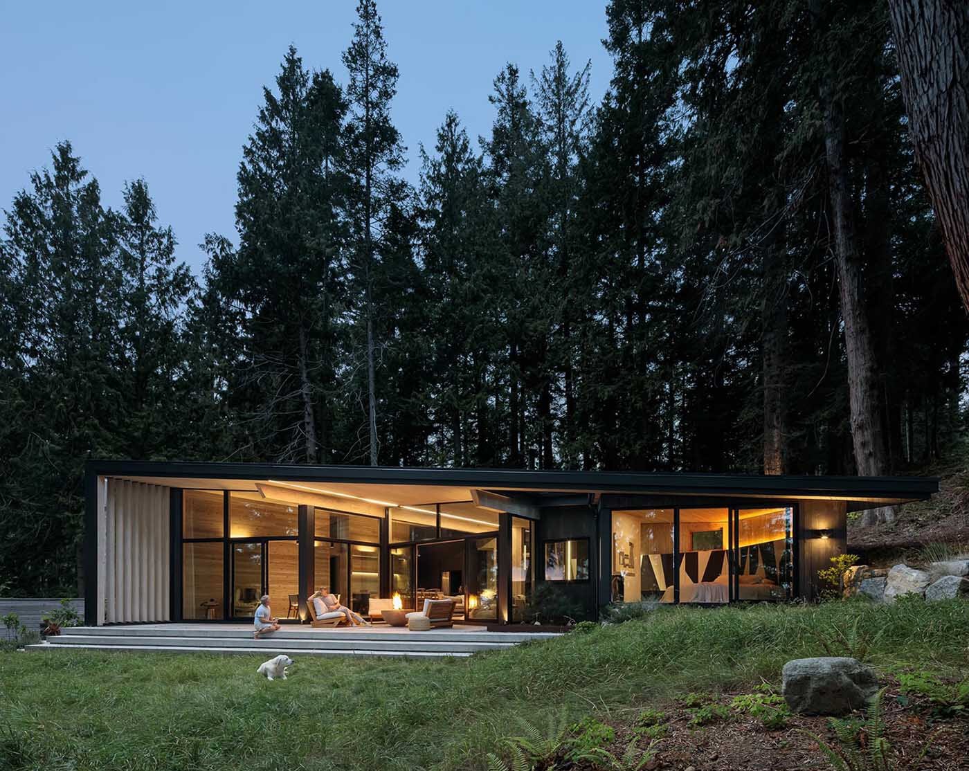 A modern cedar cabin in Halfmoon Bay designed to preserve every existing tree, blending architecture with untouched forest surroundings.