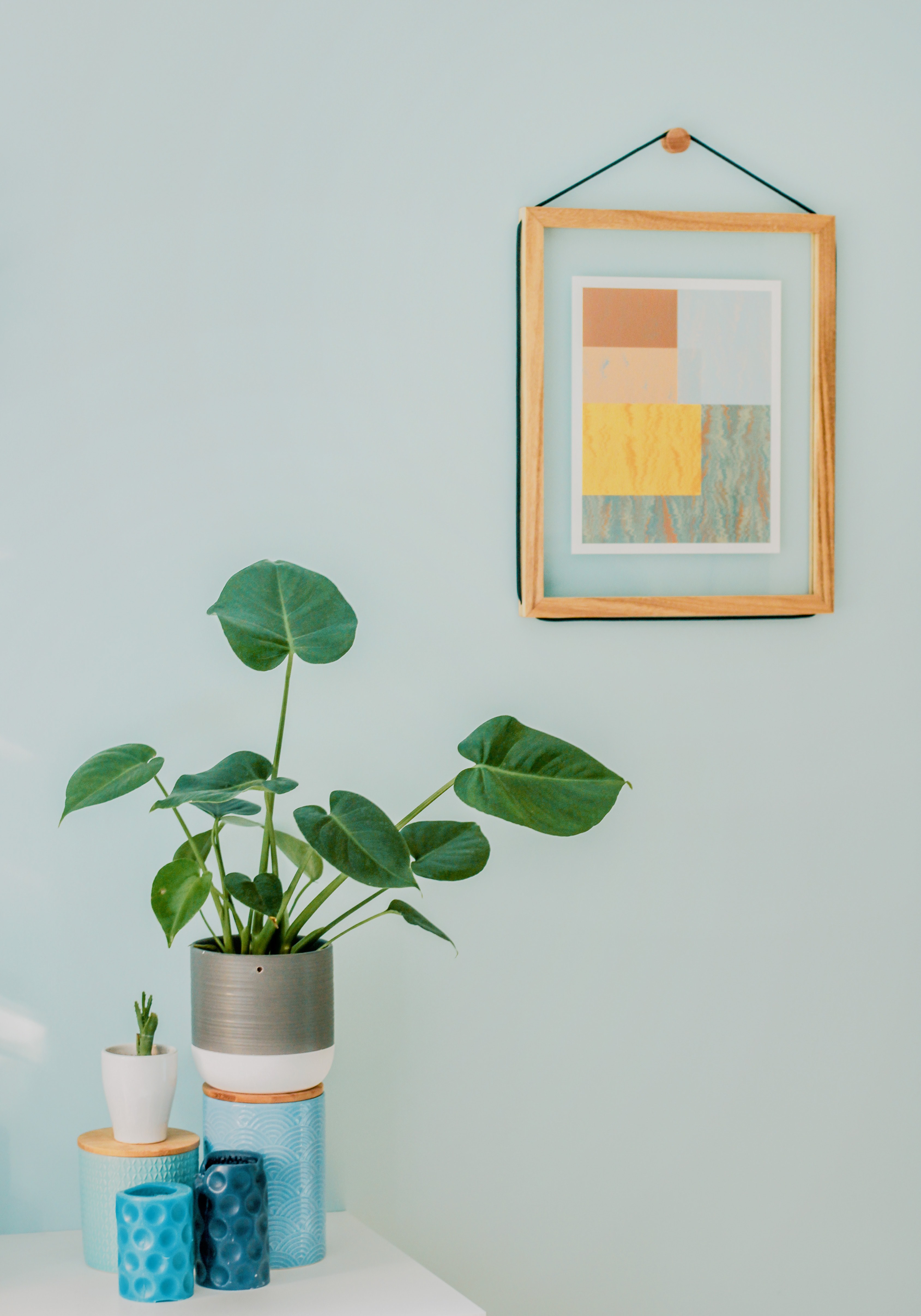 The importance of plants in the blanks for interior design