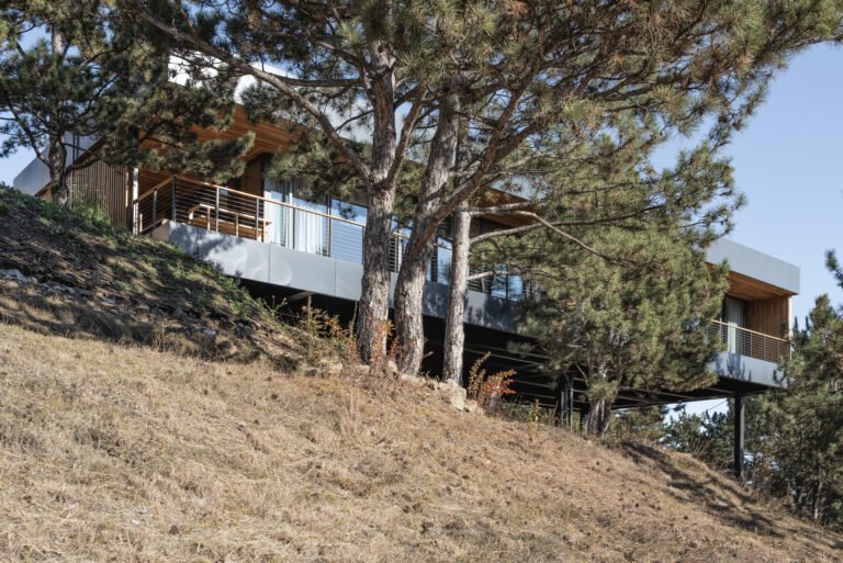 Hillside House / TWO+ | ArchDaily