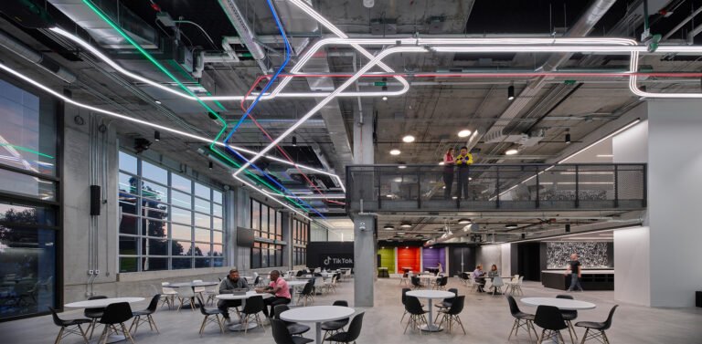 Flexible Workspace: Pandemic Adaptation or Future Architectural Trend?