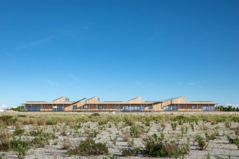Jones Seaside Vitality and Nature Middle // nARCHITECTS