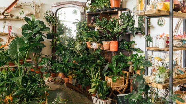 These Are the Houseplants of the 12 months for 2022, In keeping with 4 Specialists