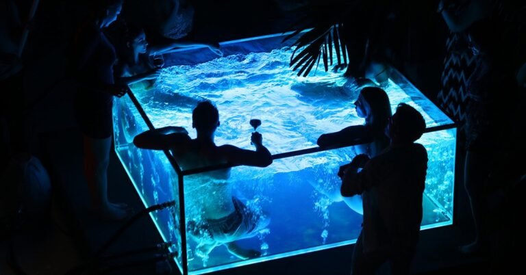 hop into first-ever all-glass, digital flooring scorching tub ASB nautilus