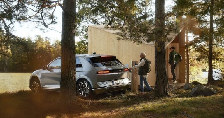 plug n’ stick with hyundai’s IONIQ 5 powered cabin within the woods