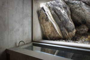 عودة الحوض: أنماط البانيو التقليدية في تصميم الحمام المعاصر ، ملجأ Lieptgas / Georg Nickisch + Selina Walder.  صورة © رالف فينير