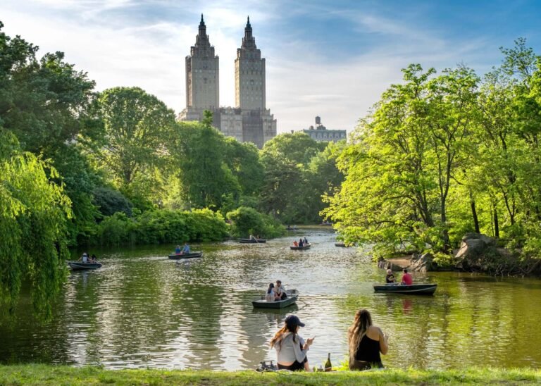 Central Park will change into a Hub for Local weather Analysis