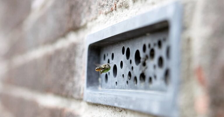 multi-purpose bricks with tiny holes present shelter for solitary bees
