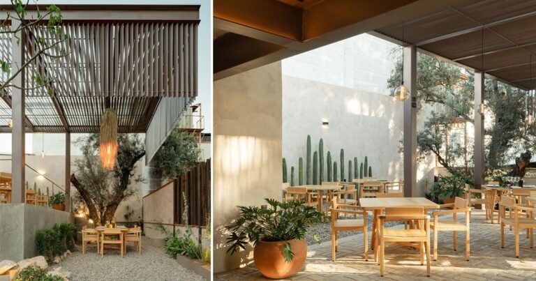 espacio 18 turns portray manufacturing facility right into a cacti-infused restaurant in mexico