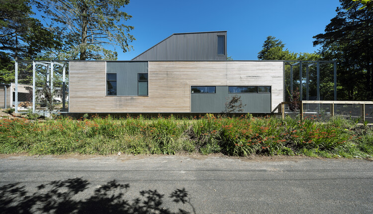 Blackheath Courtyard House / Pearson Architecture ، © Tom Ferguson Photography