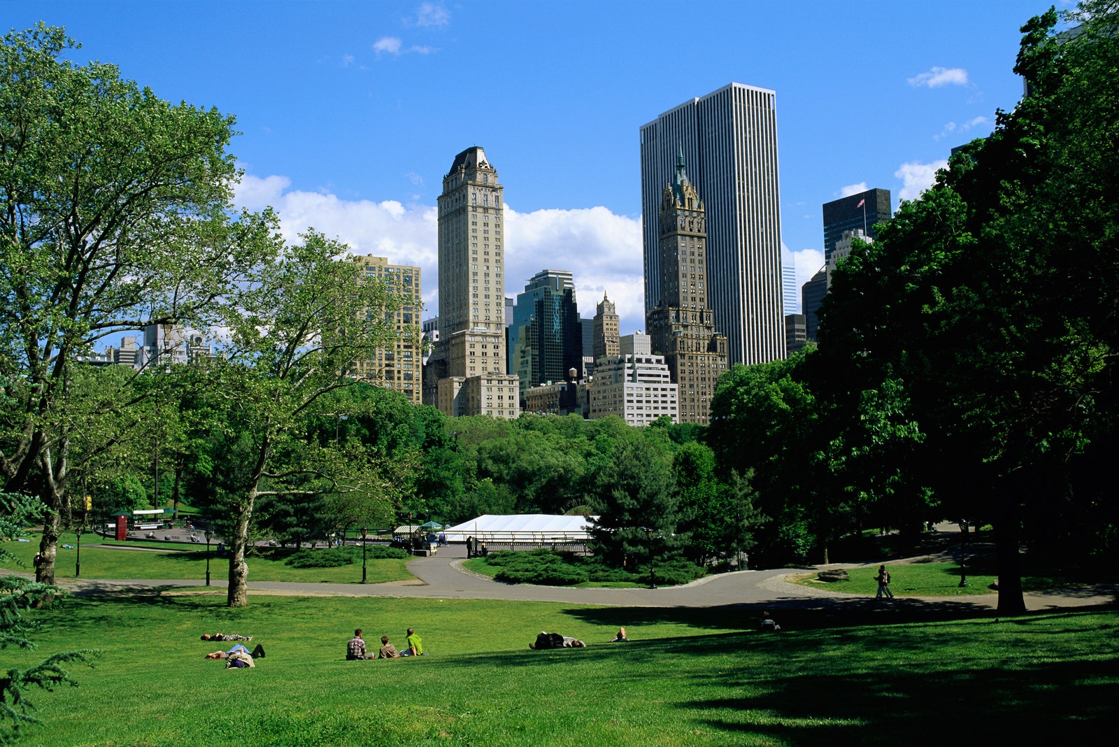 ربما تحتوي الصورة على Grass Plant Human Person Lawn Park Outdoors City Town Urban Building and Downtown