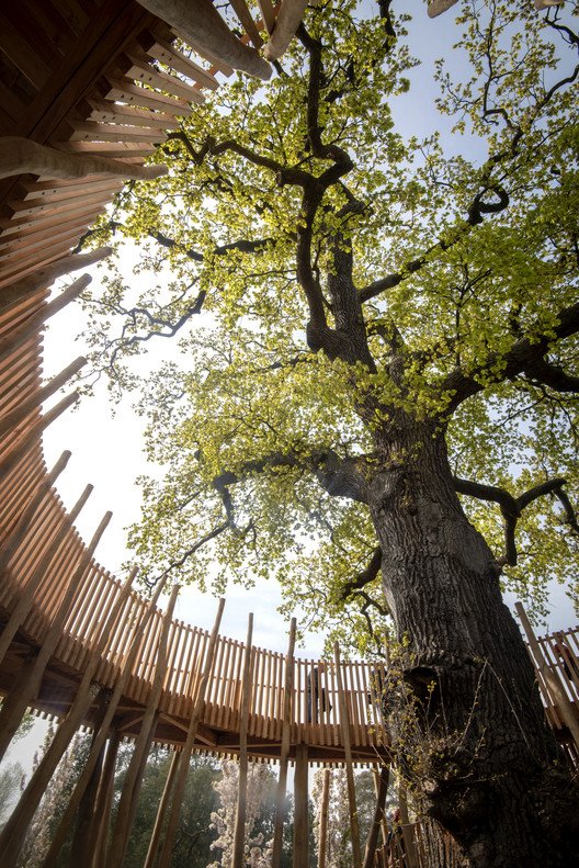 تطلق Royal Botanic Gardens و Kew ومتحف الهندسة المعمارية Treehouses في مسابقة Kew للتصميم ، © Jeff Eden