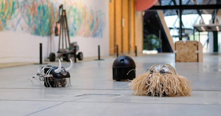 cookies and algorithms develop into robotic creatures in ‘settle for all’ exhibition