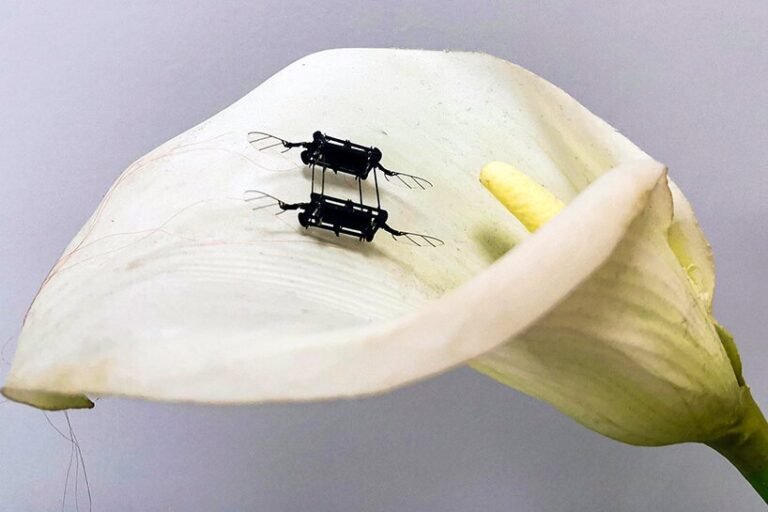 MIT researchers optimize record-breaking insect-sized flying microrobots