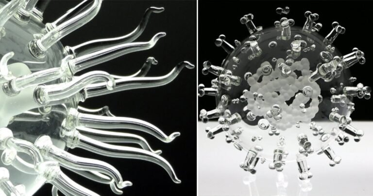 luke jerram’s intricate glasswork series depicts some of the most fatal viruses