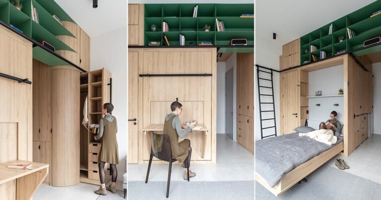 doméstico-microliving triggers traditional dwelling limit with a single shape