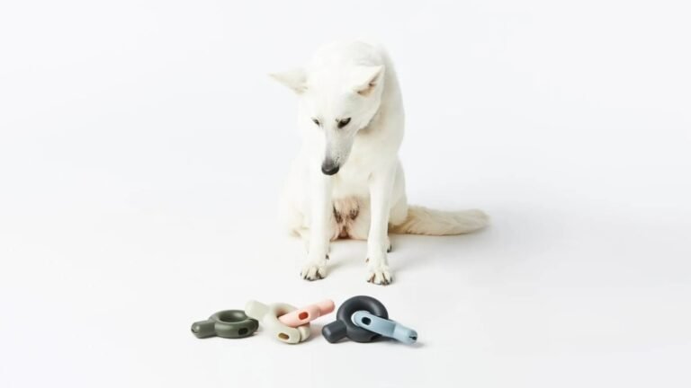11 Indestructible and Nearly Indestructible Dog Toys for Your Furry Friend