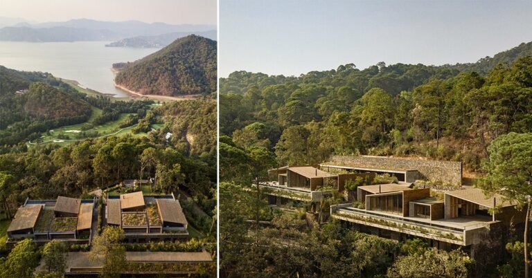 nestled atop steep hills, these twin houses in mexico weave into their forested context