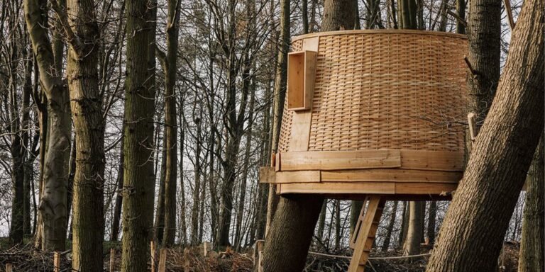 the ‘sylvascope’ treehouse by sebastian cox explores woodland care in the UK