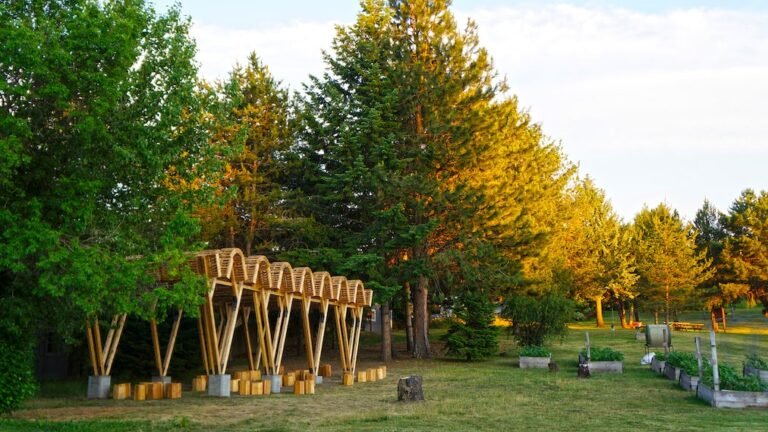 AB McDonald Elementary’s Outdoor Classroom Provides Safe and Engaging Learning Space