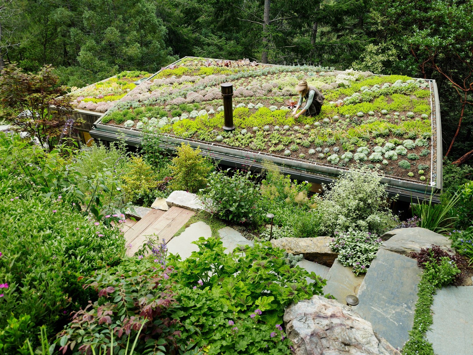 تتميز كبائن The Mill Valley Cabins من Feldman Architecture بمؤهلات مستدامة متعددة بما في ذلك الأسطح الخضراء.