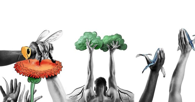 kristián mensa fuses dance with quirky illustrations to explore the majesty of nature