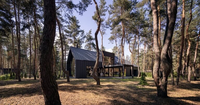 dark metal and wood cladding wraps gabled ‘house among the pines’ in ukraine