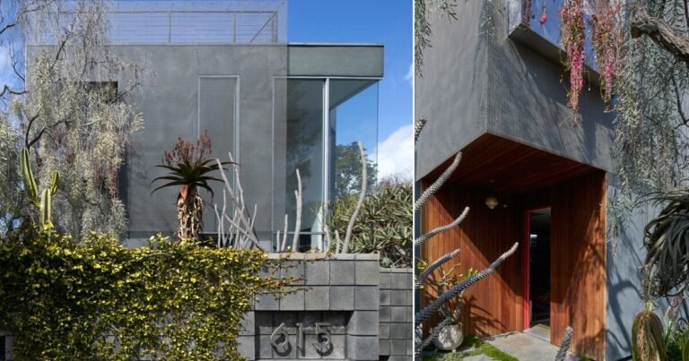 urban garden oasis in LA: interview with matthew royce on designing multifamily ‘veil house’
