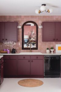 داخل المطبخ أحادي اللون مع خزائن مطبخ مطلية باللون الأرجواني