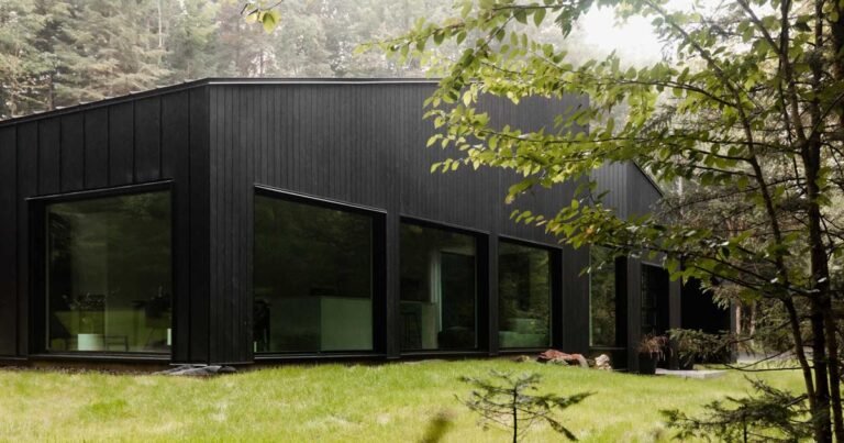 The Black Exterior Of This Home In The Forest Covers A White Minimalist Interior