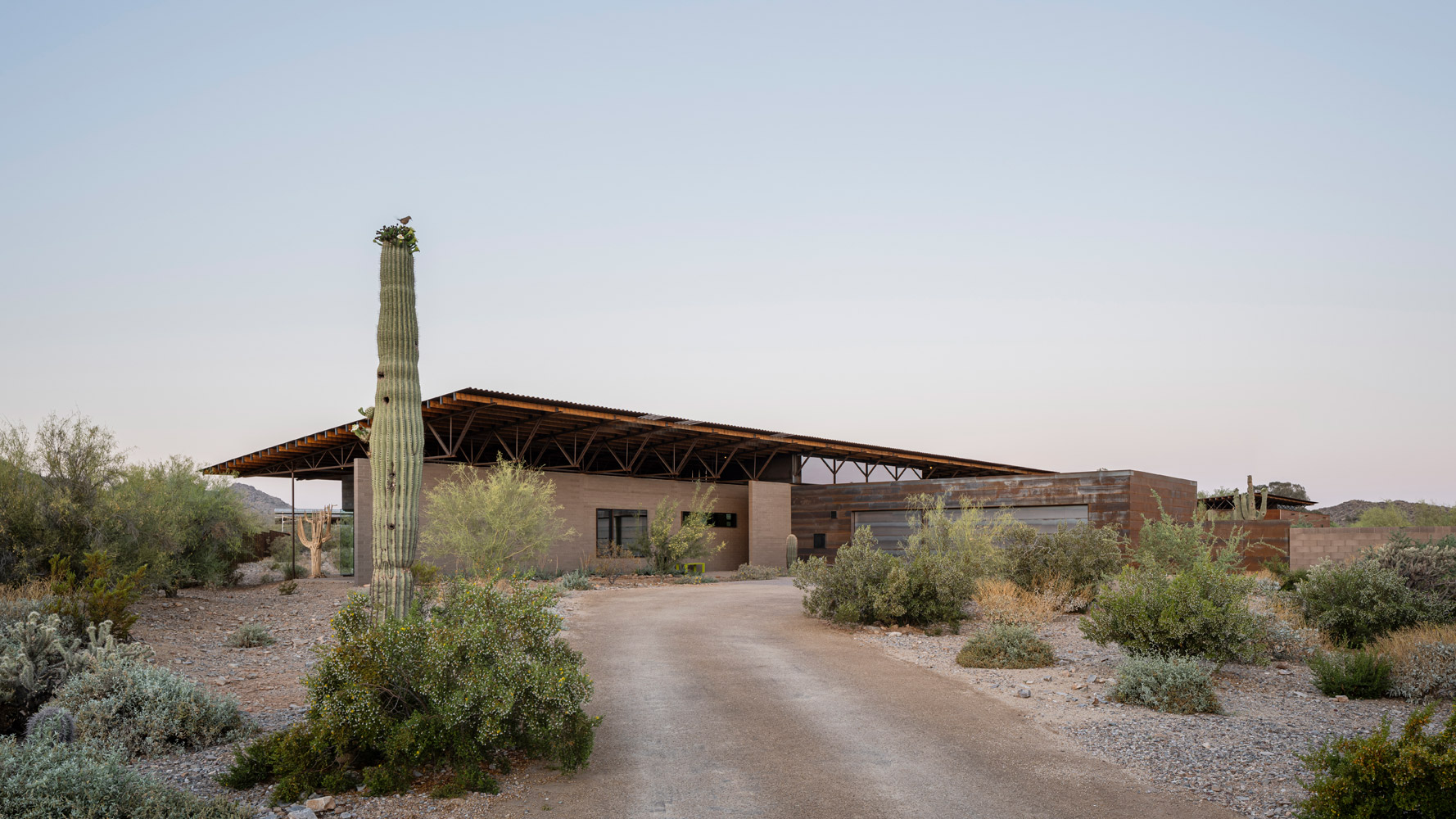 Desert Wash Dwellings by DeBartolo Architects