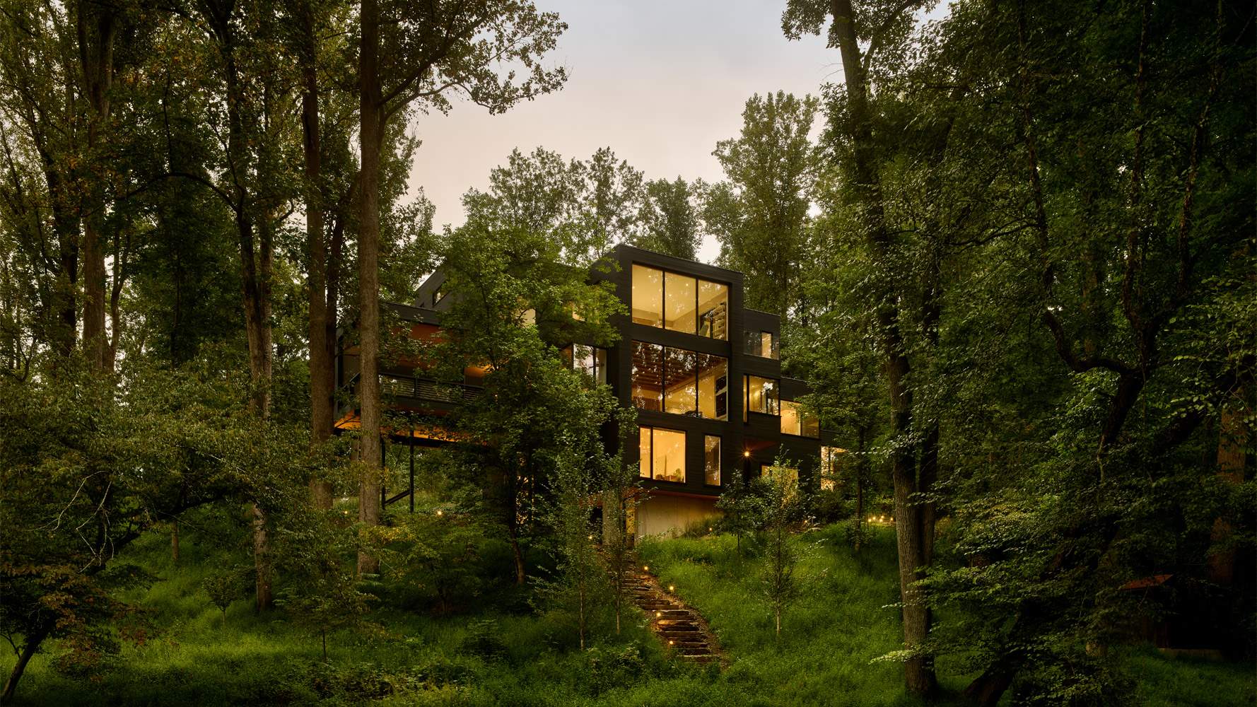 Virginia Tree House by Robert Young Architects