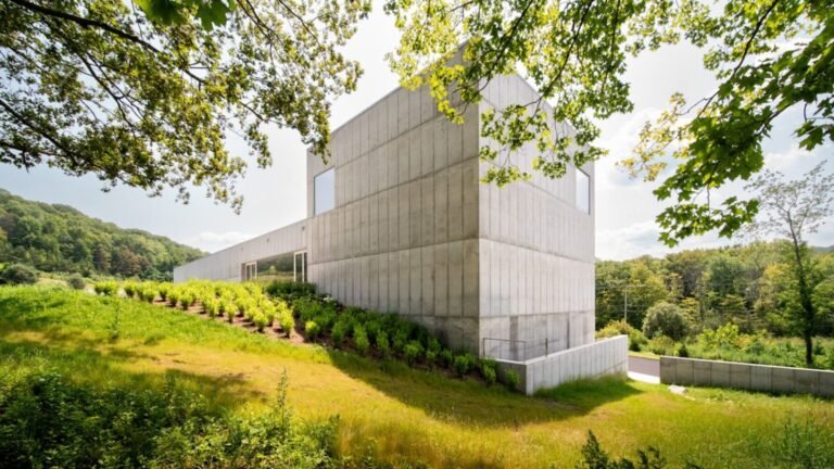 Magazzino Italian Art Debuts Robert Olnick Pavilion in New York’s Hudson Valley