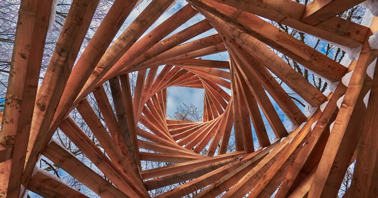 davide macullo’s interwoven timber pavilions nestle in the swiss alps woodland