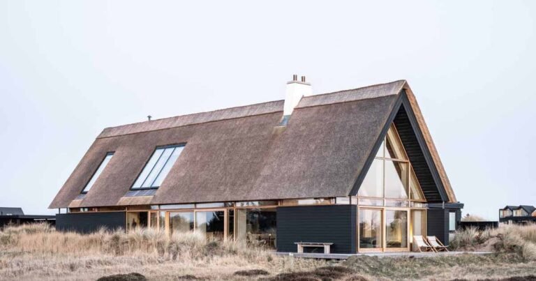 A Thatched Roof And Charred Wood Siding Were Used To Create This Modern Home