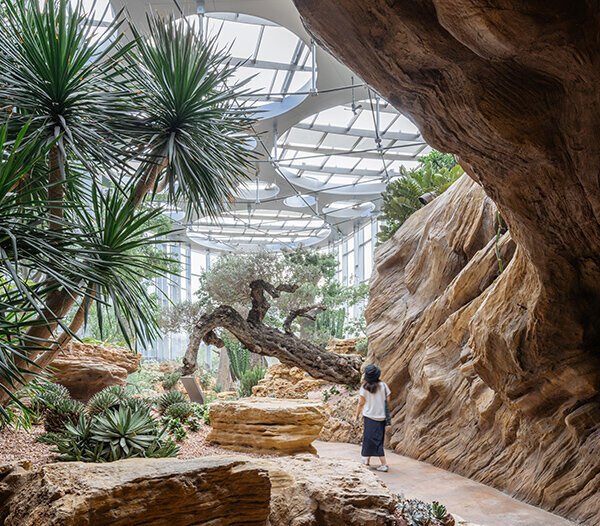 DMAA completes zero-energy greenhouse, bringing desert and tropical biomes to shanghai