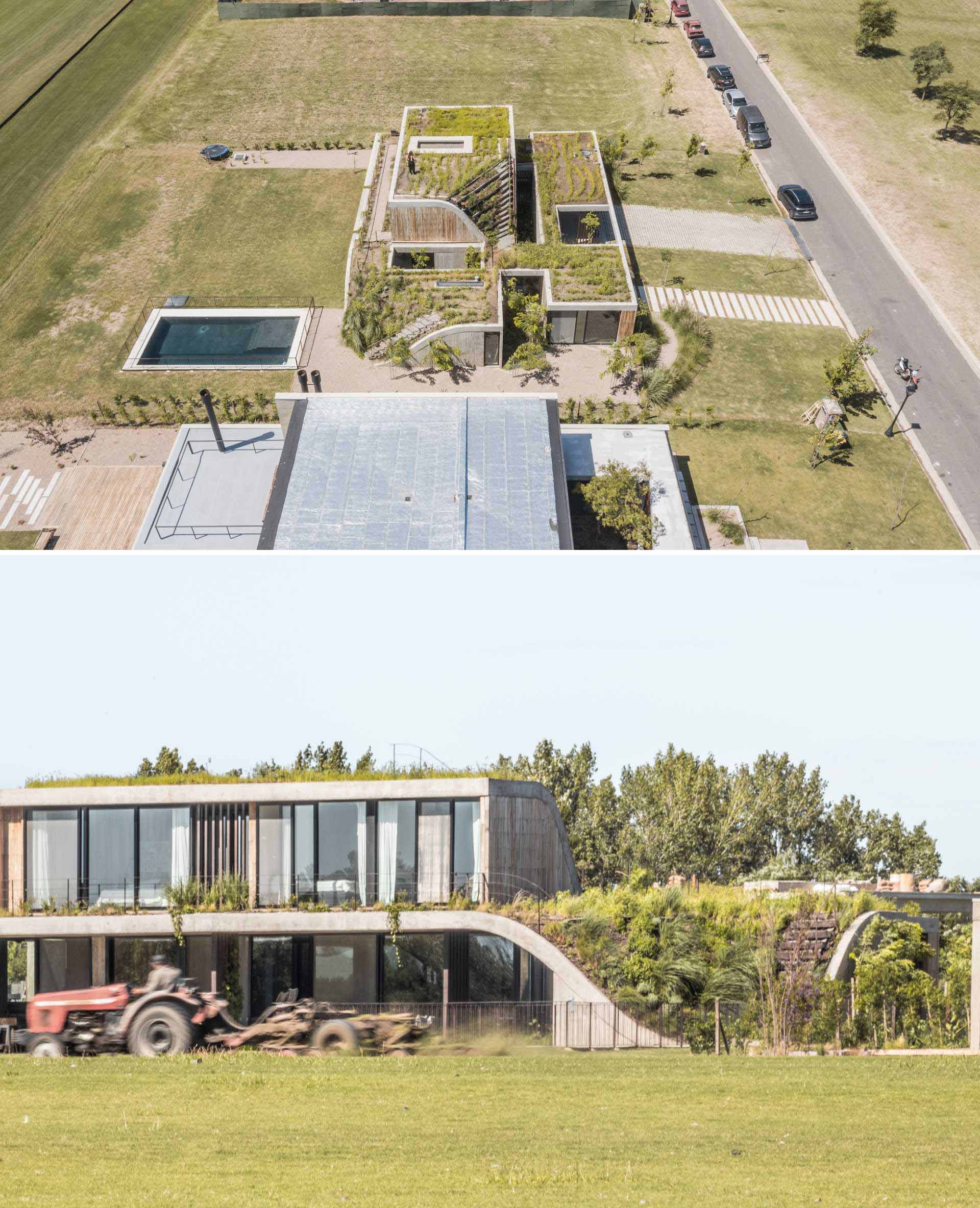 A modern home with a green roof also features a material palette of concrete and wood.