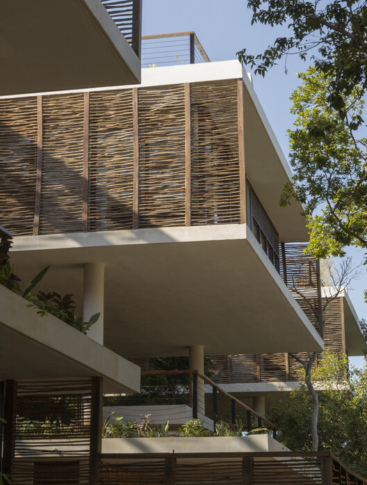 Amelia Tulum / Sordo Madaleno Arquitectos - Image 4 of 30