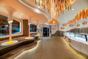 GOLD-WINNER-Rice-to-Riches-Best-Retail-Store-Interior-Design-Wid-Chapman-Wid-Chapman-Architects-.jpg