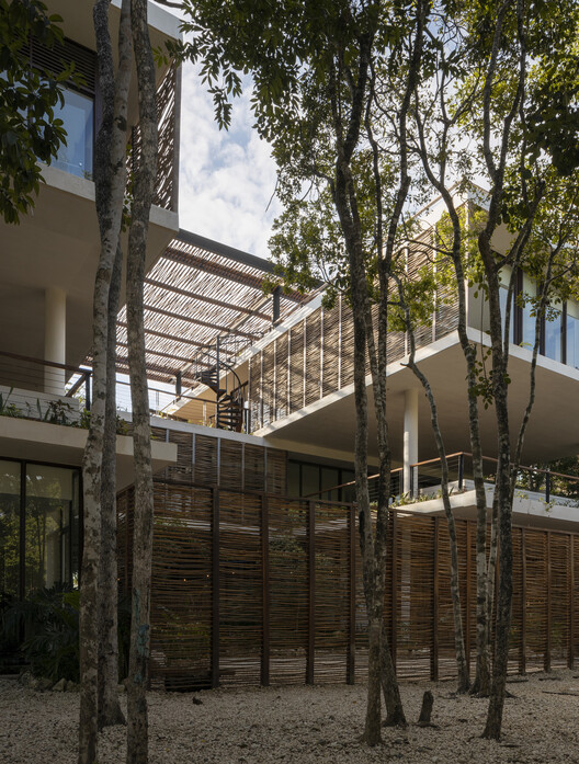 Amelia Tulum / Sordo Madaleno Arquitectos - Image 11 of 30