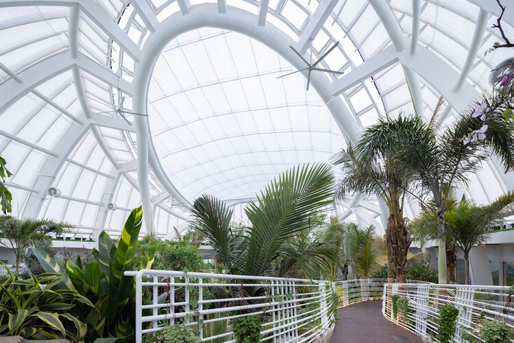 2024 Chengdu EXPO Botanic Pavilion / CUPD - Image 4 of 28