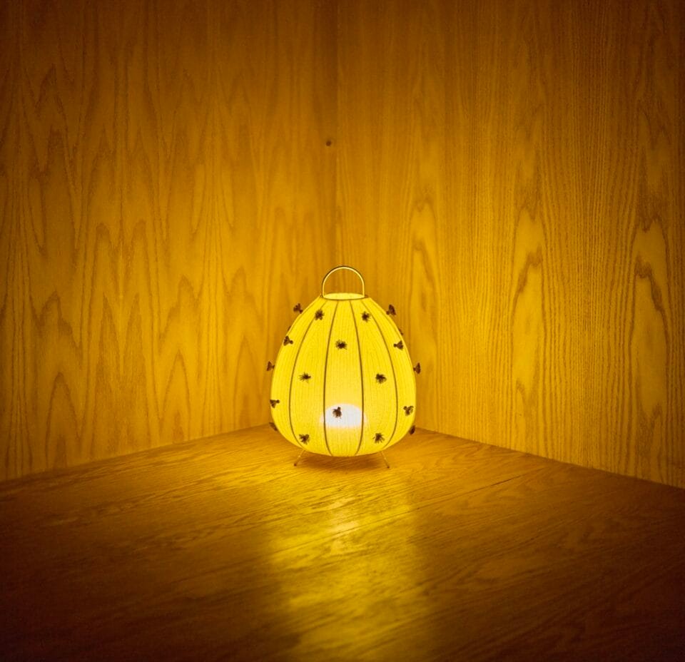 a small lamp abstractly reminiscent of a fruit, sits in a corner illuminating wooden walls