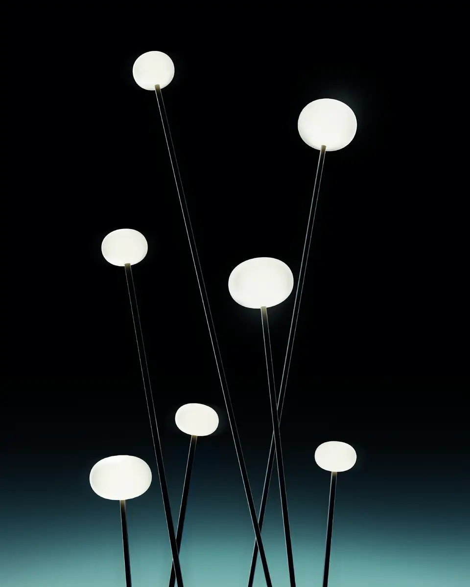 Reed Light.