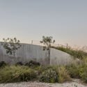 Houses in Argentina: Green Roofs That Blend Architecture and Landscape - Image 2 of 19