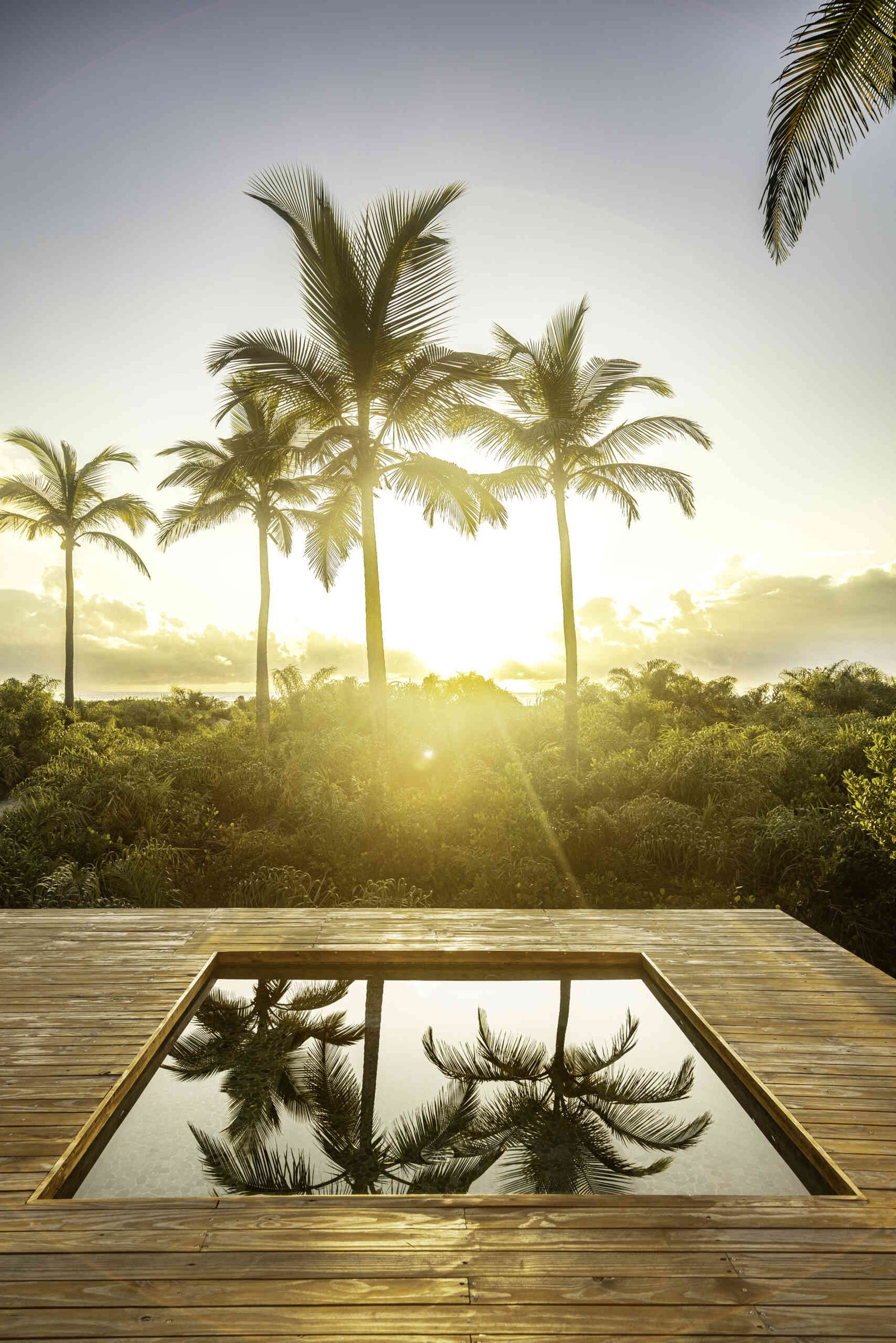 A modular home set between the river and the sea, designed for calm tropical living. Warm wood interiors, large glass openings, and open patios create a seamless flow between forest, coast, and indoor comfort.