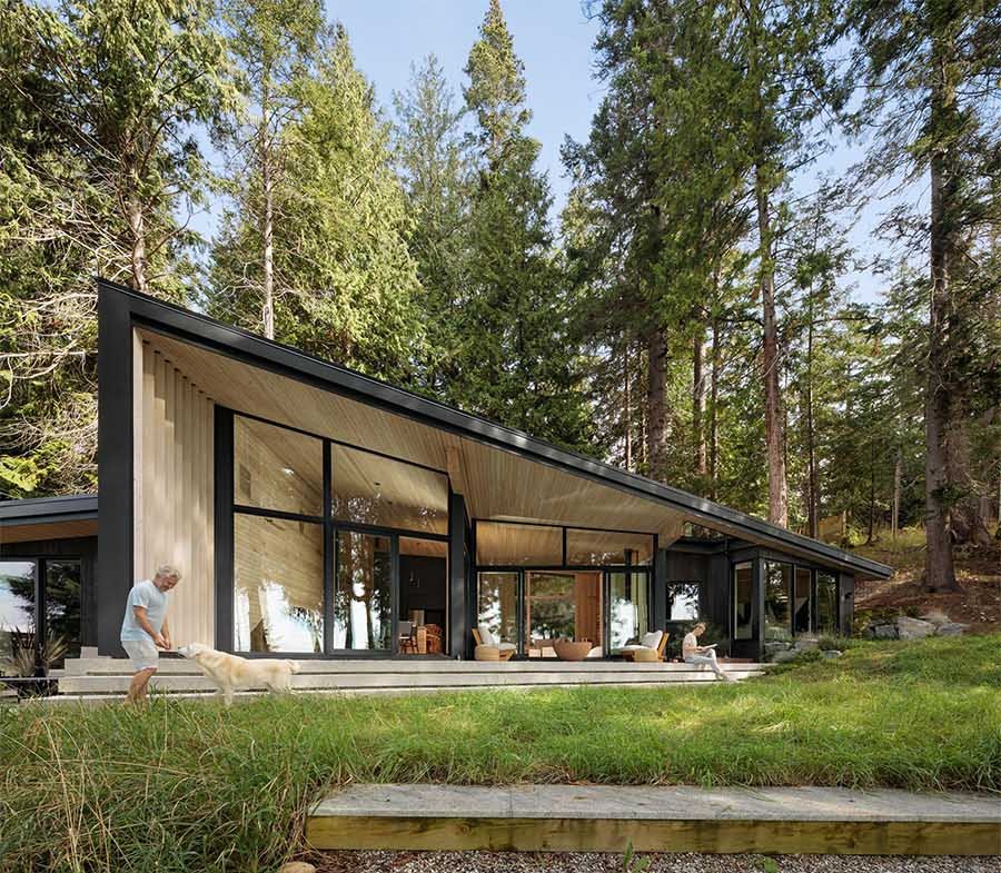 A modern cedar cabin in Halfmoon Bay designed to preserve every existing tree, blending architecture with untouched forest surroundings.