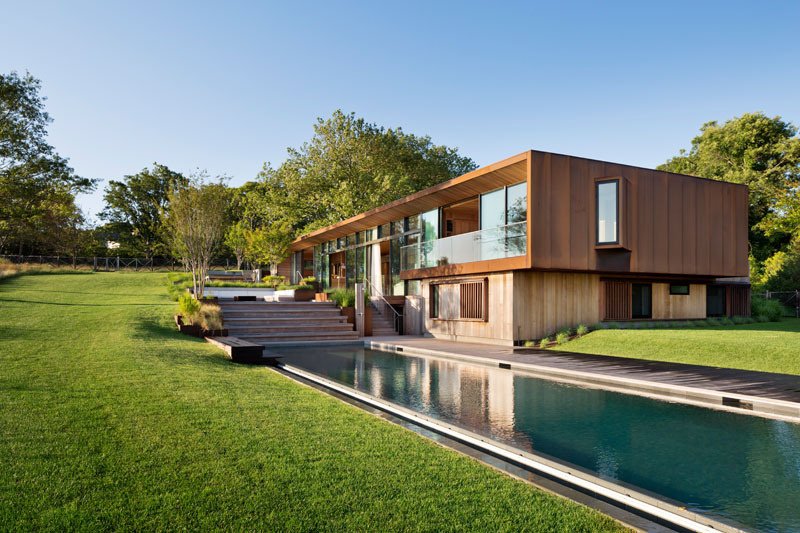 A Modern Hamptons House Designed Around a 70-Foot Sycamore Tree