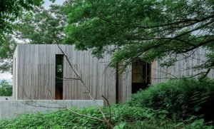 Forest Archetype Interior Design by Genta Takano